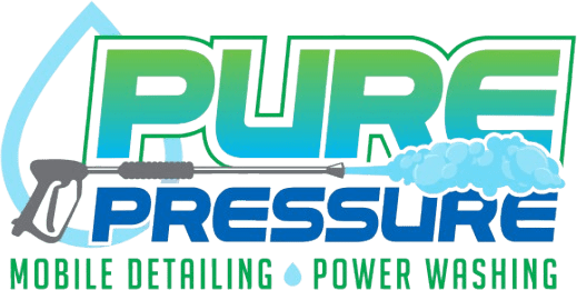 PurePressure_logo_A-pdf-removebg-preview (1)